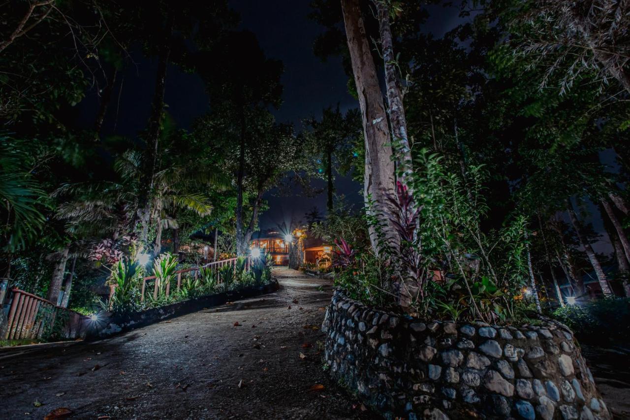 Atremaru Jungle Retreat Hotel Puerto Princesa Ngoại thất bức ảnh